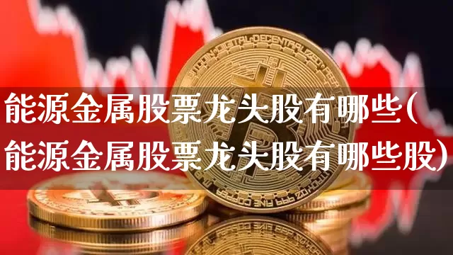 能源金属股票龙头股有哪些(能源金属股票龙头股有哪些股)_https://www.cangshenghg.com_科创板_第1张