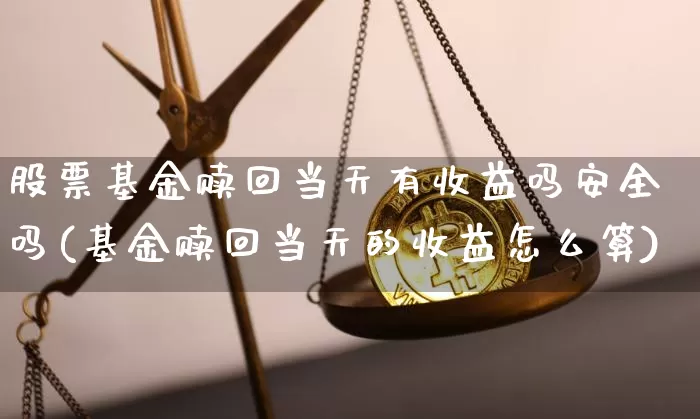 股票基金赎回当天有收益吗安全吗(基金赎回当天的收益怎么算)_https://www.cangshenghg.com_科创板_第1张