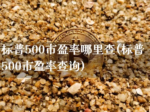 标普500市盈率哪里查(标普500市盈率查询)_https://www.cangshenghg.com_财经新闻_第1张