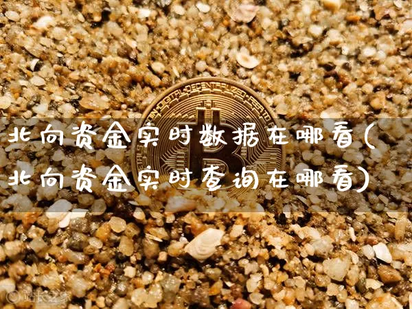 北向资金实时数据在哪看(北向资金实时查询在哪看)_https://www.cangshenghg.com_创业板_第1张
