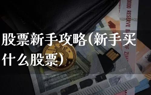 股票新手攻略(新手买什么股票)_https://www.cangshenghg.com_北交所_第1张