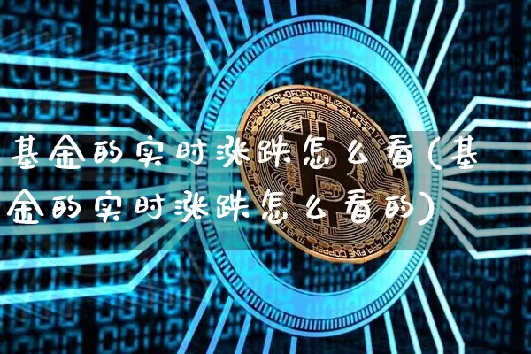 基金的实时涨跌怎么看(基金的实时涨跌怎么看的)_https://www.cangshenghg.com_科创板_第1张