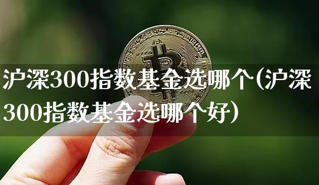 沪深300指数基金选哪个(沪深300指数基金选哪个好)_https://www.cangshenghg.com_科创板_第1张