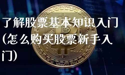 了解股票基本知识入门(怎么购买股票新手入门)_https://www.cangshenghg.com_创业板_第1张