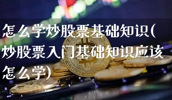 怎么学炒股票基础知识(炒股票入门基础知识应该怎么学)_https://www.cangshenghg.com_财经新闻_第1张