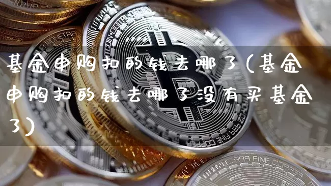 基金申购扣的钱去哪了(基金申购扣的钱去哪了没有买基金了)_https://www.cangshenghg.com_北交所_第1张