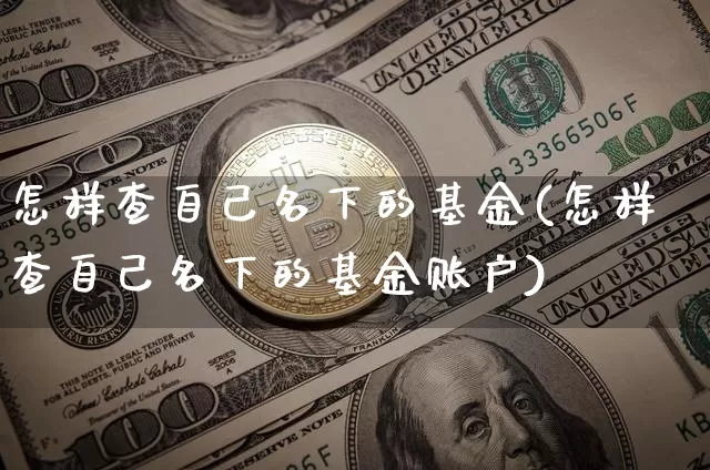 怎样查自己名下的基金(怎样查自己名下的基金账户)_https://www.cangshenghg.com_创业板_第1张
