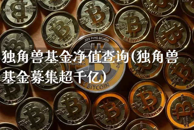 独角兽基金净值查询(独角兽基金募集超千亿)_https://www.cangshenghg.com_A股_第1张