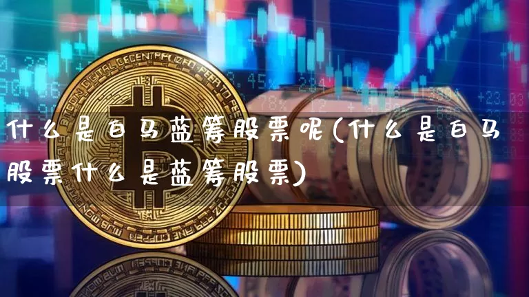 什么是白马蓝筹股票呢(什么是白马股票什么是蓝筹股票)_https://www.cangshenghg.com_A股_第1张