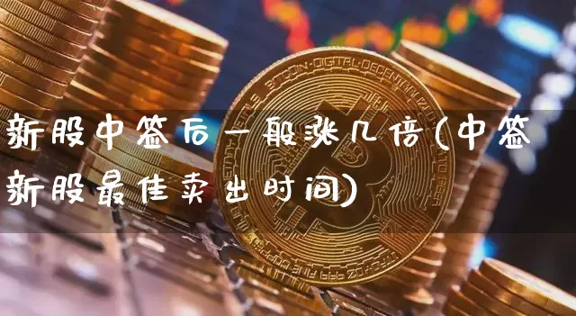 新股中签后一般涨几倍(中签新股最佳卖出时间)_https://www.cangshenghg.com_创业板_第1张
