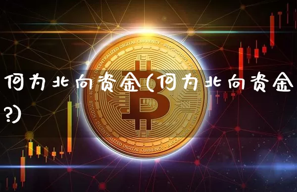 何为北向资金(何为北向资金?)_https://www.cangshenghg.com_创业板_第1张