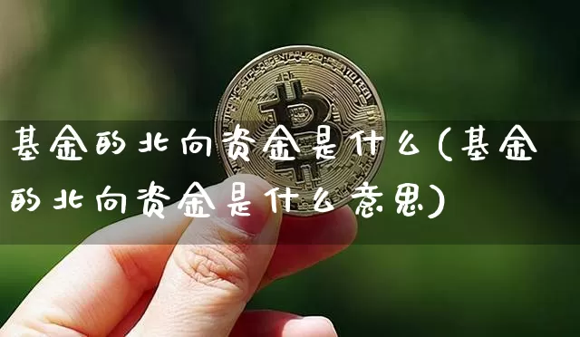 基金的北向资金是什么(基金的北向资金是什么意思)_https://www.cangshenghg.com_创业板_第1张