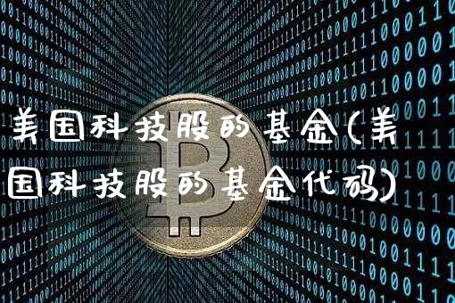 美国科技股的基金(美国科技股的基金代码)_https://www.cangshenghg.com_北交所_第1张