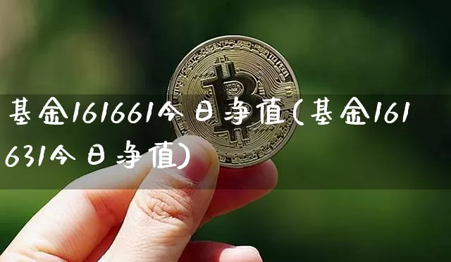 基金161661今日净值(基金161631今日净值)_https://www.cangshenghg.com_创业板_第1张