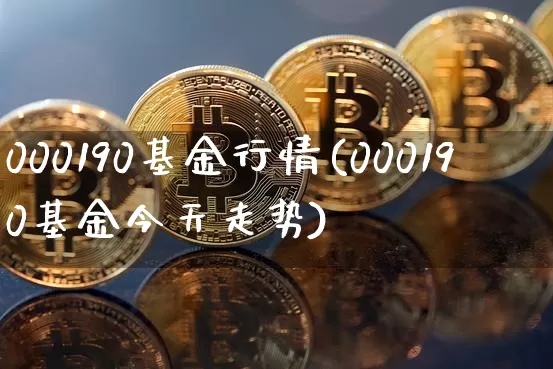 000190基金行情(000190基金今天走势)_https://www.cangshenghg.com_创业板_第1张