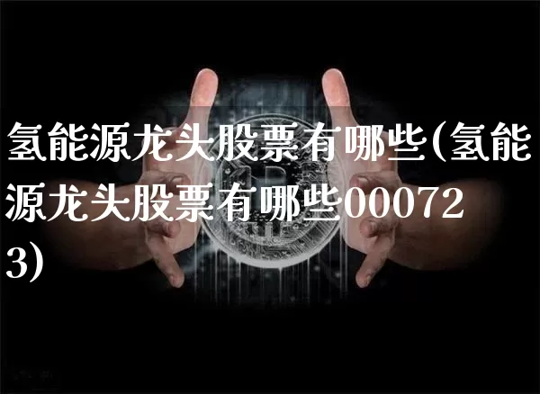 氢能源龙头股票有哪些(氢能源龙头股票有哪些000723)_https://www.cangshenghg.com_北交所_第1张