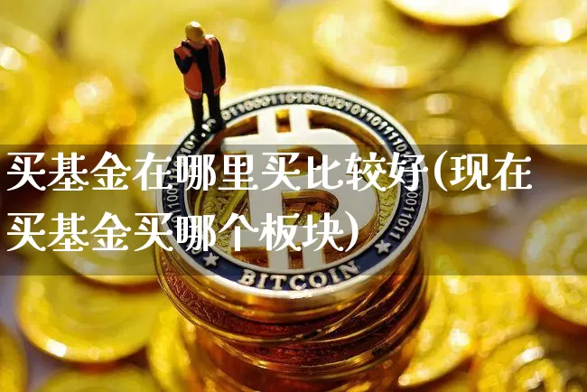 买基金在哪里买比较好(现在买基金买哪个板块)_https://www.cangshenghg.com_财经新闻_第1张