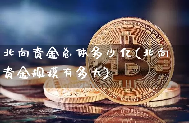 北向资金总体多少亿(北向资金规模有多大)_https://www.cangshenghg.com_北交所_第1张