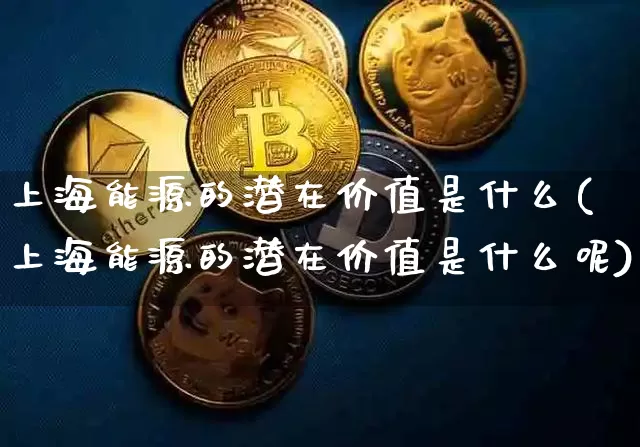 上海能源的潜在价值是什么(上海能源的潜在价值是什么呢)_https://www.cangshenghg.com_创业板_第1张