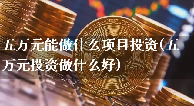 五万元能做什么项目投资(五万元投资做什么好)_https://www.cangshenghg.com_科创板_第1张