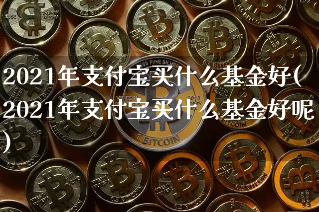 2021年支付宝买什么基金好(2021年支付宝买什么基金好呢)_https://www.cangshenghg.com_A股_第1张