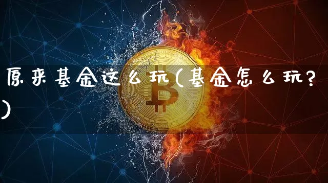 原来基金这么玩(基金怎么玩?)_https://www.cangshenghg.com_科创板_第1张