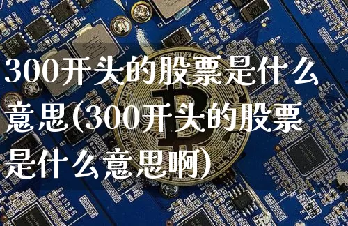 300开头的股票是什么意思(300开头的股票是什么意思啊)_https://www.cangshenghg.com_创业板_第1张