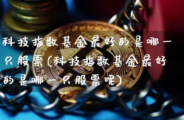 科技指数基金最好的是哪一只股票(科技指数基金最好的是哪一只股票呢)_https://www.cangshenghg.com_创业板_第1张