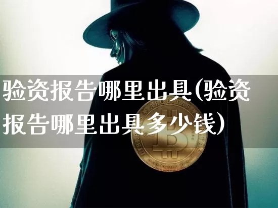 验资报告哪里出具(验资报告哪里出具多少钱)_https://www.cangshenghg.com_北交所_第1张