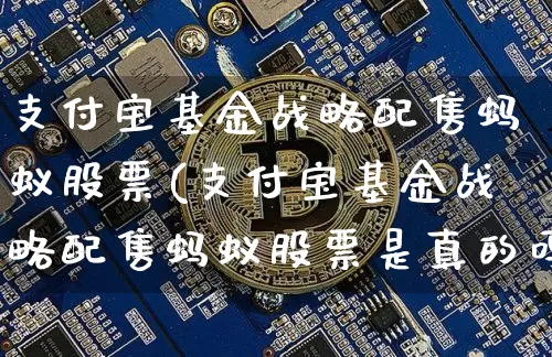 支付宝基金战略配售蚂蚁股票(支付宝基金战略配售蚂蚁股票是真的吗)_https://www.cangshenghg.com_创业板_第1张