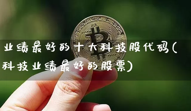 业绩最好的十大科技股代码(科技业绩最好的股票)_https://www.cangshenghg.com_北交所_第1张