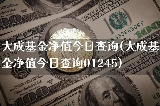 大成基金净值今日查询(大成基金净值今日查询01245)_https://www.cangshenghg.com_科创板_第1张