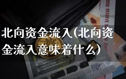 北向资金流入(北向资金流入意味着什么)_https://www.cangshenghg.com_北交所_第1张