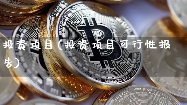 投资项目(投资项目可行性报告)_https://www.cangshenghg.com_北交所_第1张