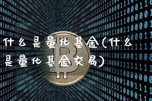 什么是量化基金(什么是量化基金交易)_https://www.cangshenghg.com_A股_第1张