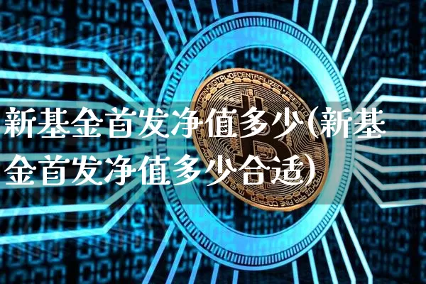 新基金首发净值多少(新基金首发净值多少合适)_https://www.cangshenghg.com_北交所_第1张