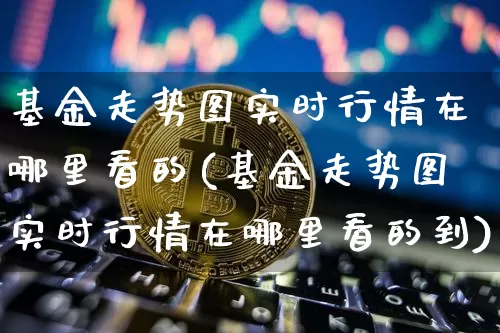基金走势图实时行情在哪里看的(基金走势图实时行情在哪里看的到)_https://www.cangshenghg.com_科创板_第1张