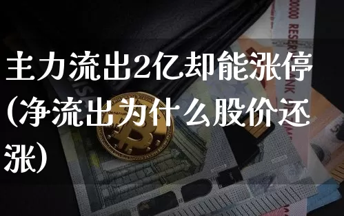 主力流出2亿却能涨停(净流出为什么股价还涨)_https://www.cangshenghg.com_科创板_第1张