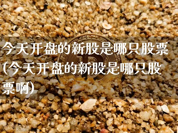 今天开盘的新股是哪只股票(今天开盘的新股是哪只股票啊)_https://www.cangshenghg.com_A股_第1张