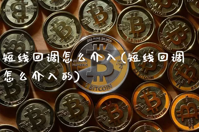 短线回调怎么介入(短线回调怎么介入的)_https://www.cangshenghg.com_财经新闻_第1张