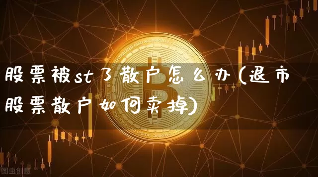 股票被st了散户怎么办(退市股票散户如何卖掉)_https://www.cangshenghg.com_创业板_第1张