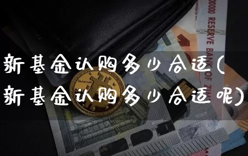 新基金认购多少合适(新基金认购多少合适呢)_https://www.cangshenghg.com_A股_第1张