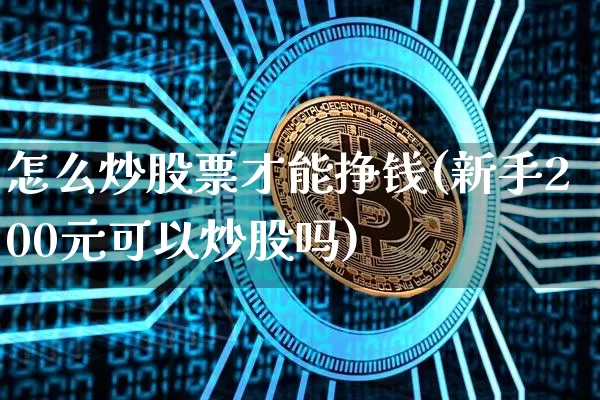 怎么炒股票才能挣钱(新手200元可以炒股吗)_https://www.cangshenghg.com_北交所_第1张