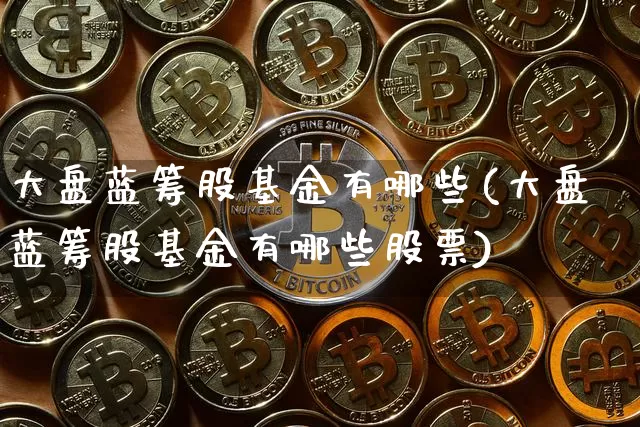 大盘蓝筹股基金有哪些(大盘蓝筹股基金有哪些股票)_https://www.cangshenghg.com_创业板_第1张