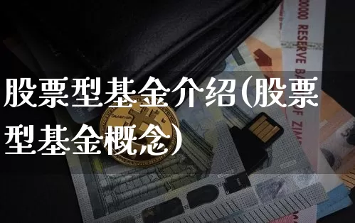 股票型基金介绍(股票型基金概念)_https://www.cangshenghg.com_科创板_第1张