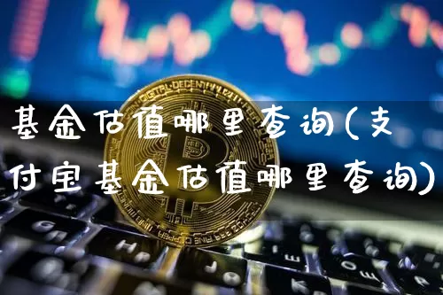 基金估值哪里查询(支付宝基金估值哪里查询)_https://www.cangshenghg.com_北交所_第1张