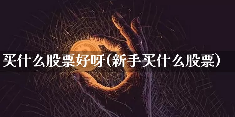 买什么股票好呀(新手买什么股票)_https://www.cangshenghg.com_北交所_第1张
