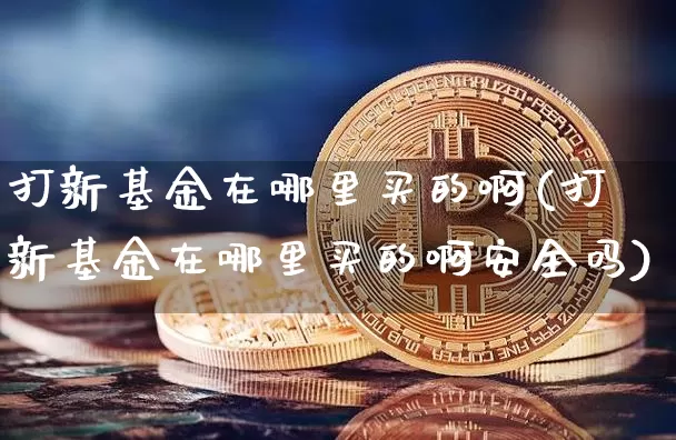 打新基金在哪里买的啊(打新基金在哪里买的啊安全吗)_https://www.cangshenghg.com_创业板_第1张