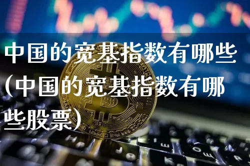 中国的宽基指数有哪些(中国的宽基指数有哪些股票)_https://www.cangshenghg.com_科创板_第1张