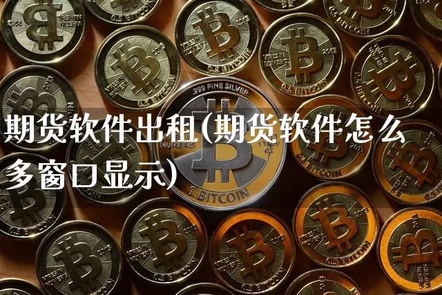 期货软件出租(期货软件怎么多窗口显示)_https://www.cangshenghg.com_北交所_第1张